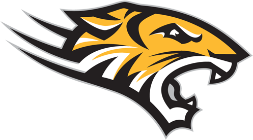 Towson Tigers - Towson Tigers Png (500x500), Png Download