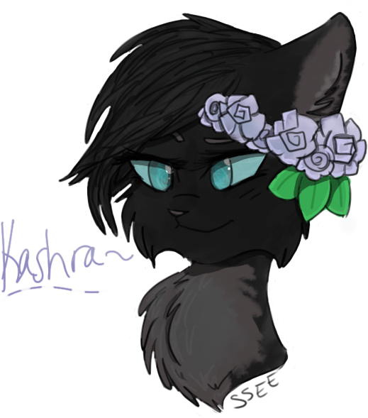 Flowers - Cartoon (548x594), Png Download