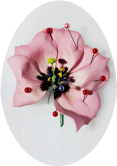 Earth Michael Baumgarten - Artificial Flower (429x600), Png Download