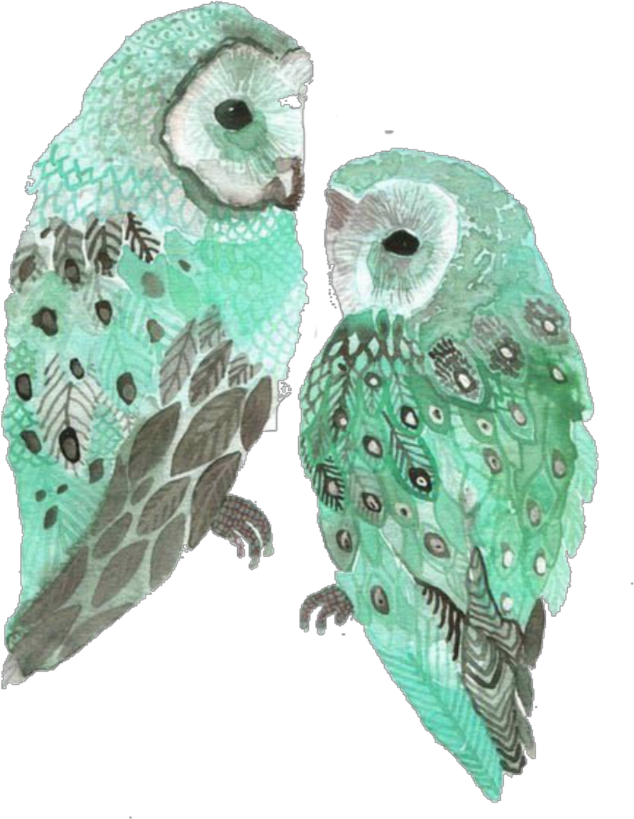 Report Abuse - Mint Owl (1024x1280), Png Download