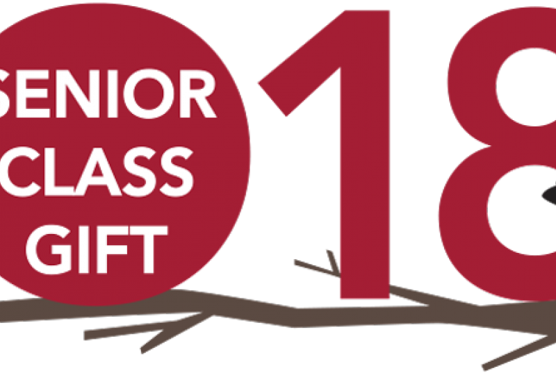 Why Support The Annual Fund Through The Senior Class - Kambing Etawa (800x537), Png Download