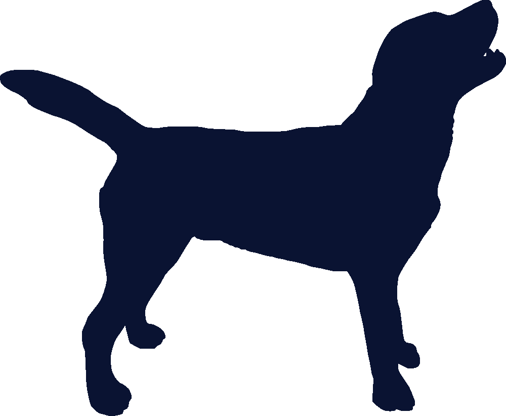 Dog Silhouette Transparent Background (1000x822), Png Download