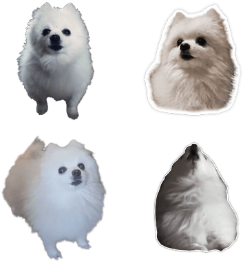 Gabe The Dog Png (400x400), Png Download