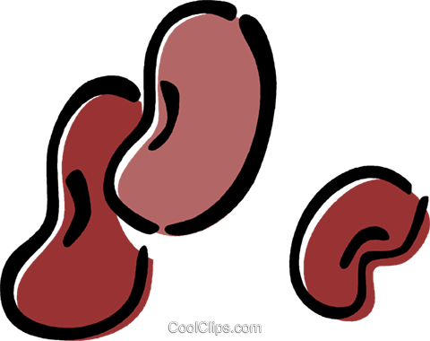 Kidney Bean - Gif Fagioli (480x380), Png Download