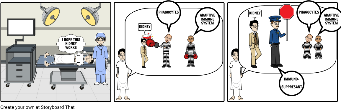 Kidney Transplant - Cartoon (1164x385), Png Download