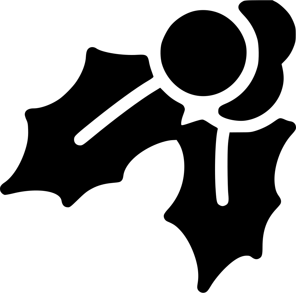 Mistletoe - - Berry (980x970), Png Download