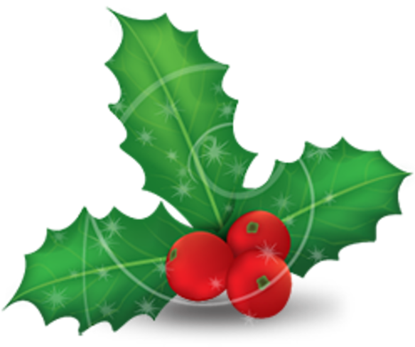 Christmas Mistletoe (600x600), Png Download
