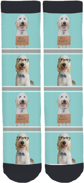 Forrest The Dood Crew Socks - Sock (284x599), Png Download