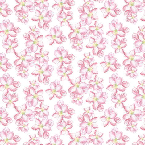 Rrrcherry Blossoms Small Zeichenflache 1 Shop Preview - Verbena (470x470), Png Download