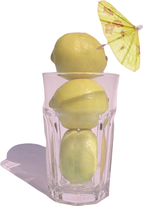 Variegated Pink Lemon (480x691), Png Download