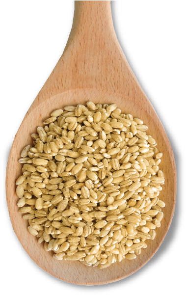 With Its Rich Texture, Pearl Barley Makes An Excellent - Ottawa Valley Grain Products Inc. (391x600), Png Download