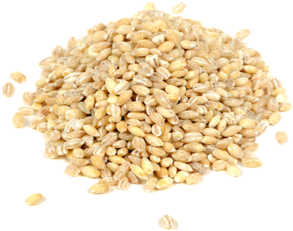 Barley Png Image - Barley Seed Png Transparent (430x331), Png Download