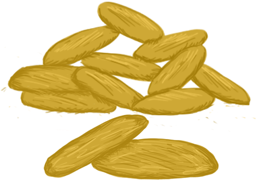 Barley Biscuit - Seed (500x500), Png Download