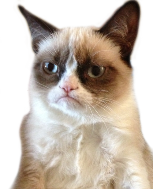 Clip Freeuse Download Grumpy Tumblr - Crawling Linkin Park Memes (500x617), Png Download