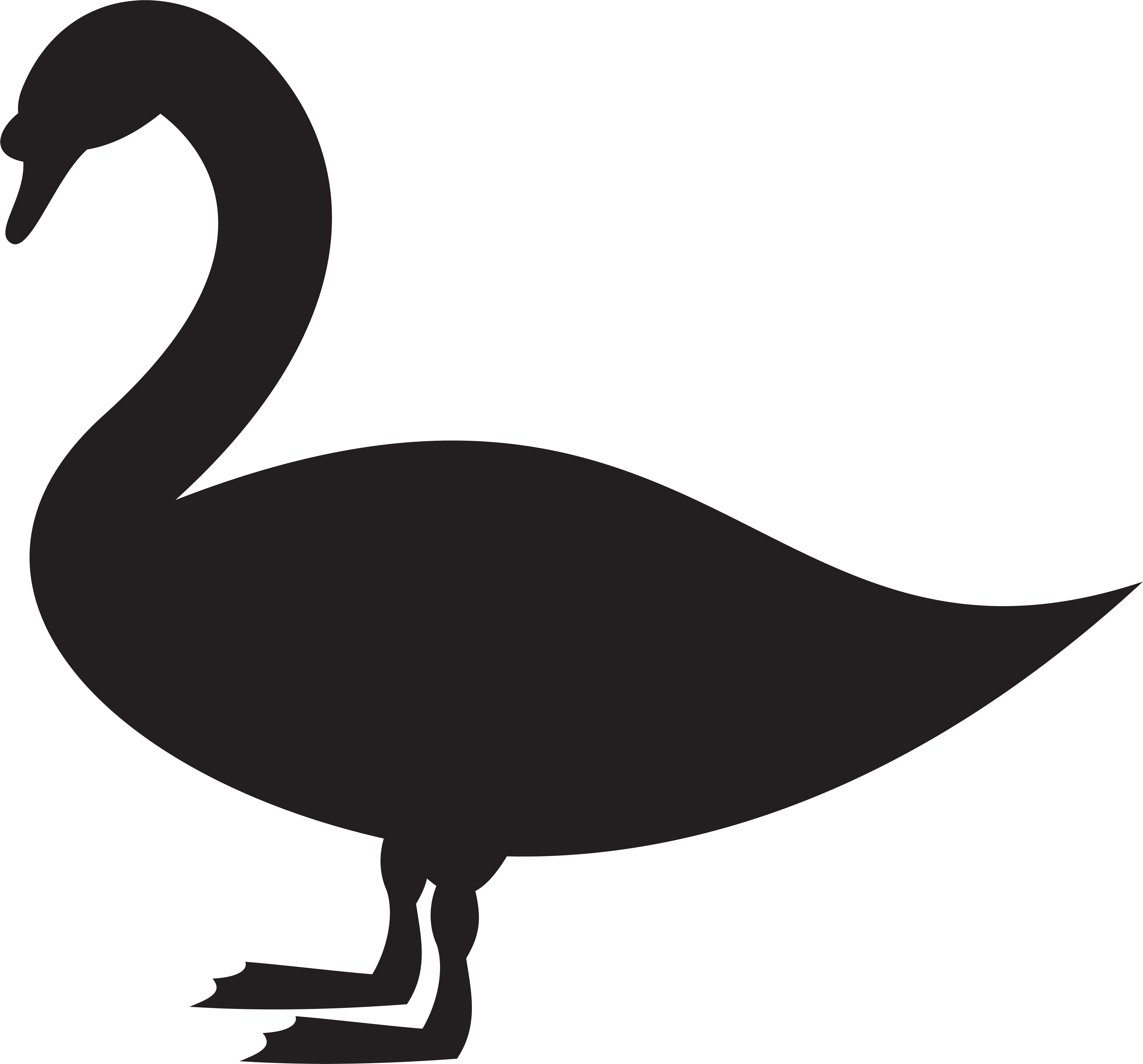 Swan Png (8000x7456), Png Download