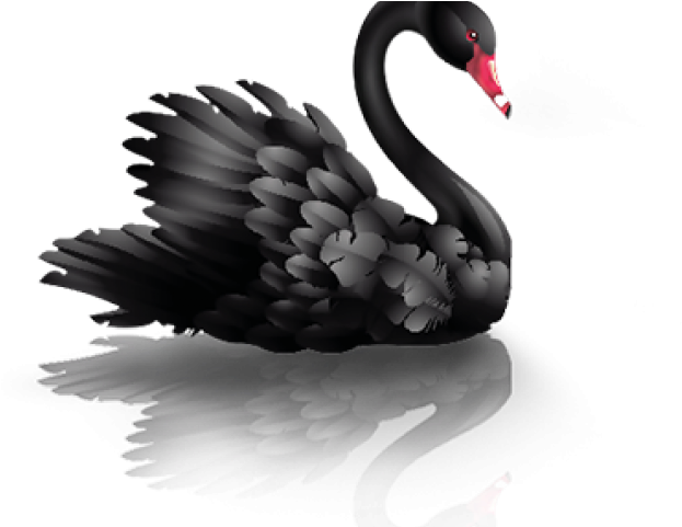 Swan Png Transparent Images - Swan Png (640x480), Png Download