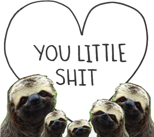 Sloth Pictures Funny Tumblr - You Little Shit Sloth (500x464), Png Download