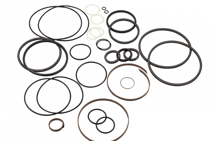 Seal (700x467), Png Download