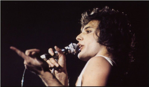 Freddie Mercury (500x500), Png Download