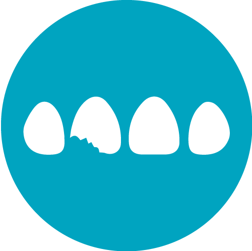 Broken Tooth Icon - Store Dj (500x498), Png Download