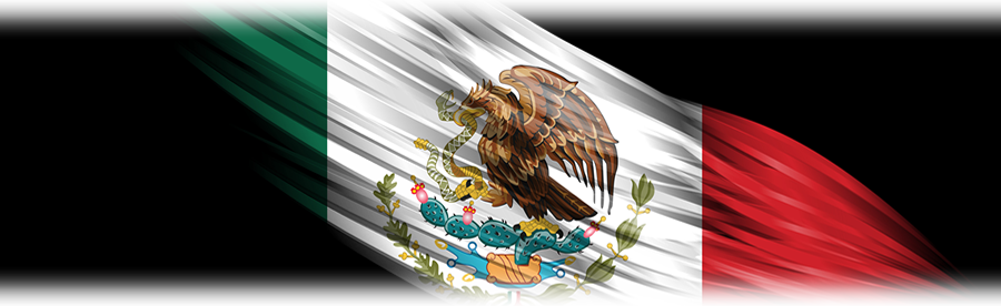Juan Salvador Agraz 65, Piso - Mexico Coat Of Arms Throw Blanket (900x276), Png Download