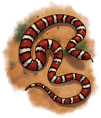 Snake - Milksnake (338x444), Png Download