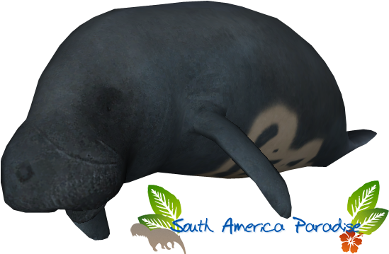 Amazonian Manatee - Zt2 Manatee (548x548), Png Download