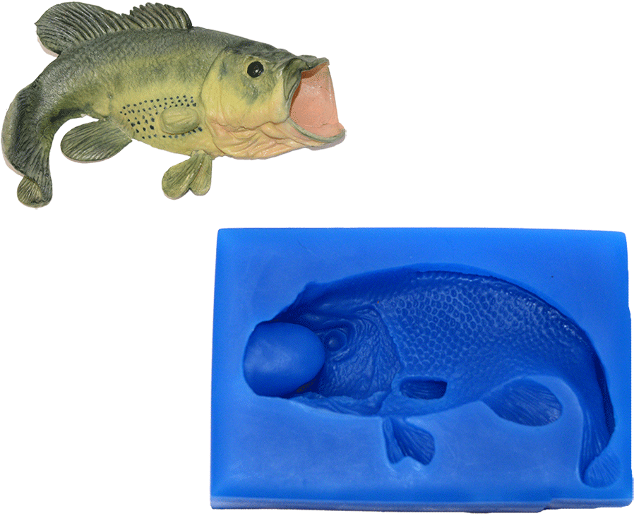 Carp (1000x1000), Png Download