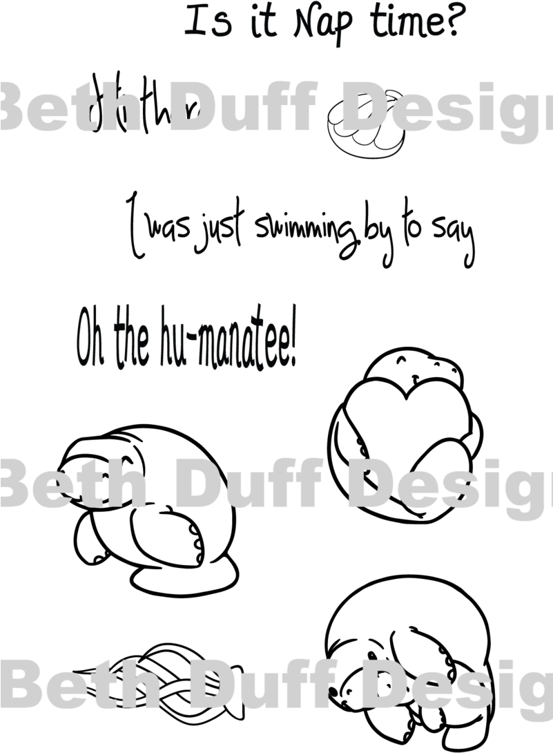 Manatee (800x1200), Png Download