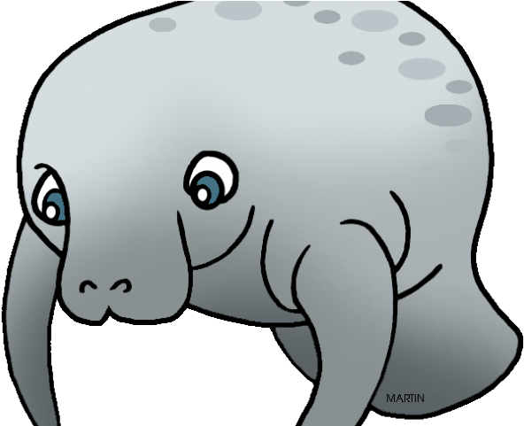 Manatee Clipart - Clipart Transparent Manatee Gif (640x480), Png Download