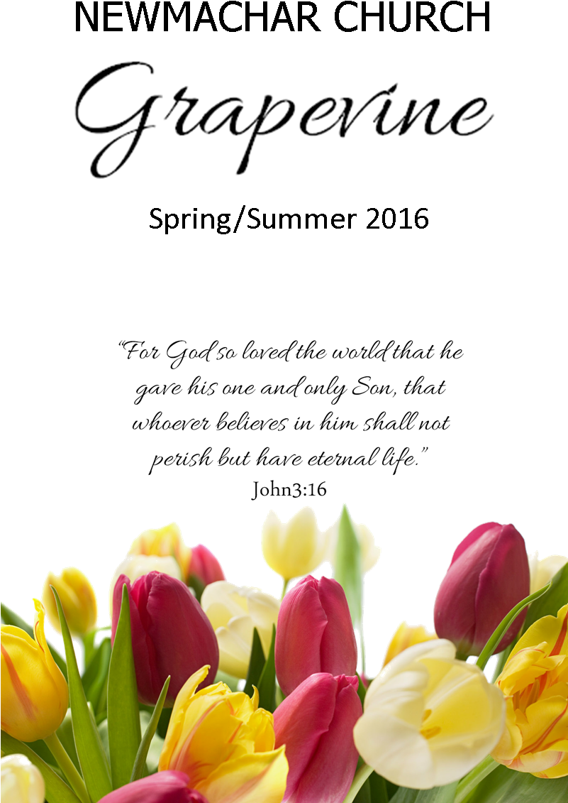 Grapevine S-s - Flowers For Birthday Tulip (800x1150), Png Download