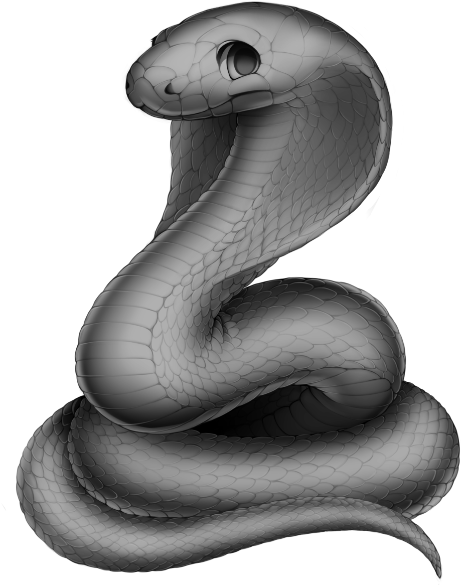 Snake Cobra Base (952x1280), Png Download