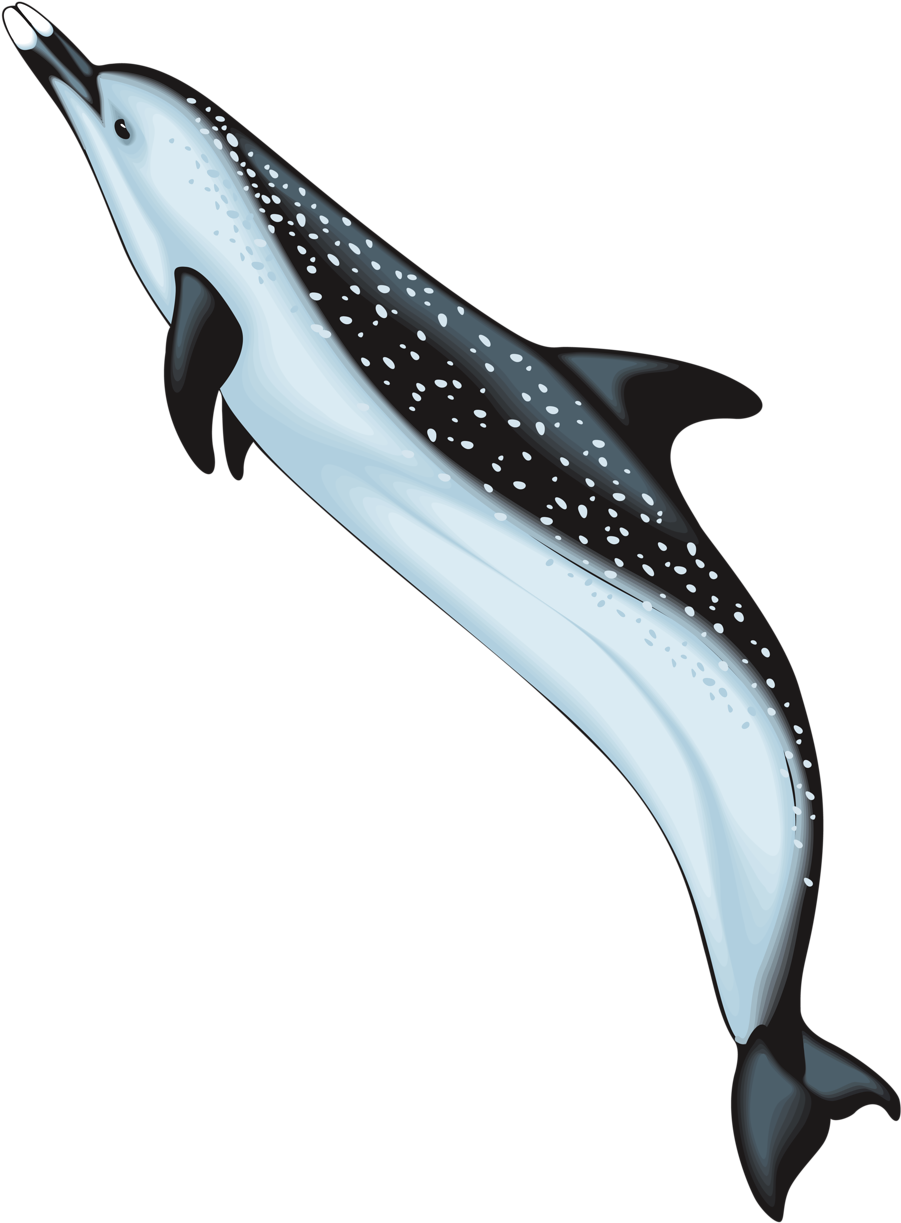 Crazy Ocean Animals Clipart (960x1280), Png Download