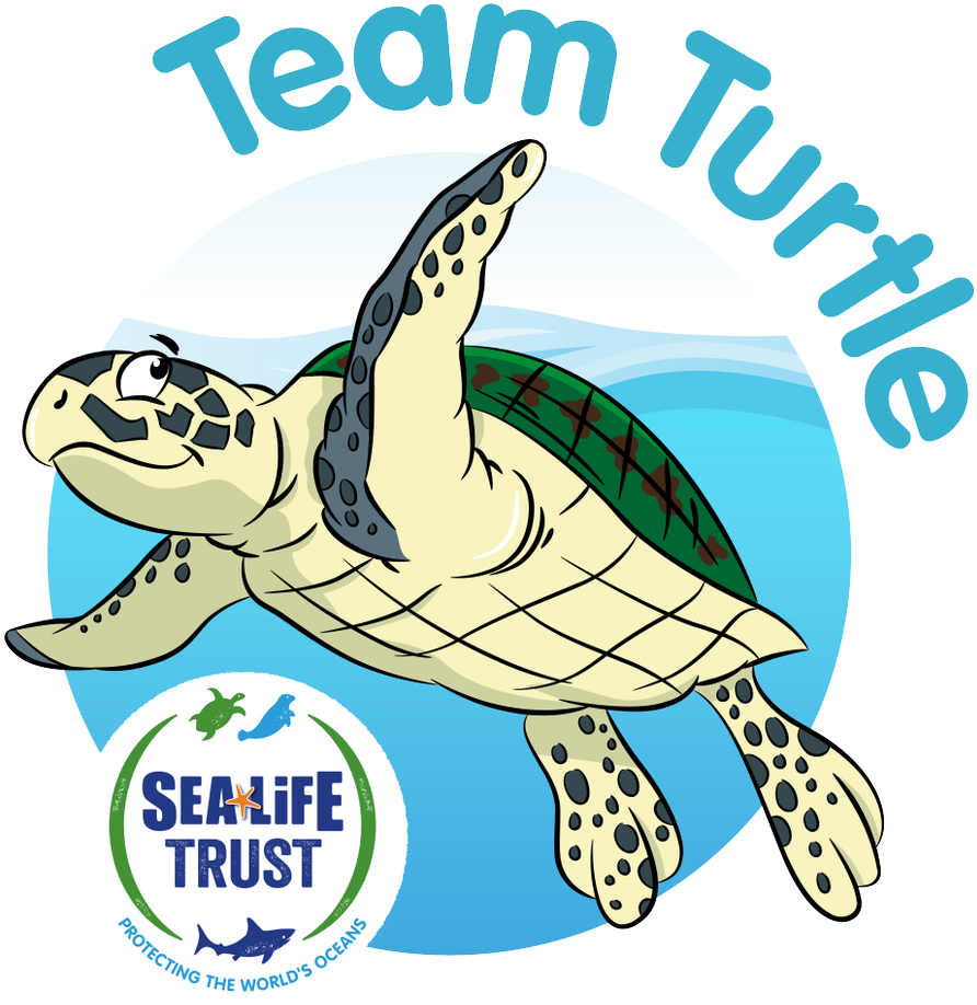Sea Life Trust On Twitter - Sea Life Trust (1200x1200), Png Download