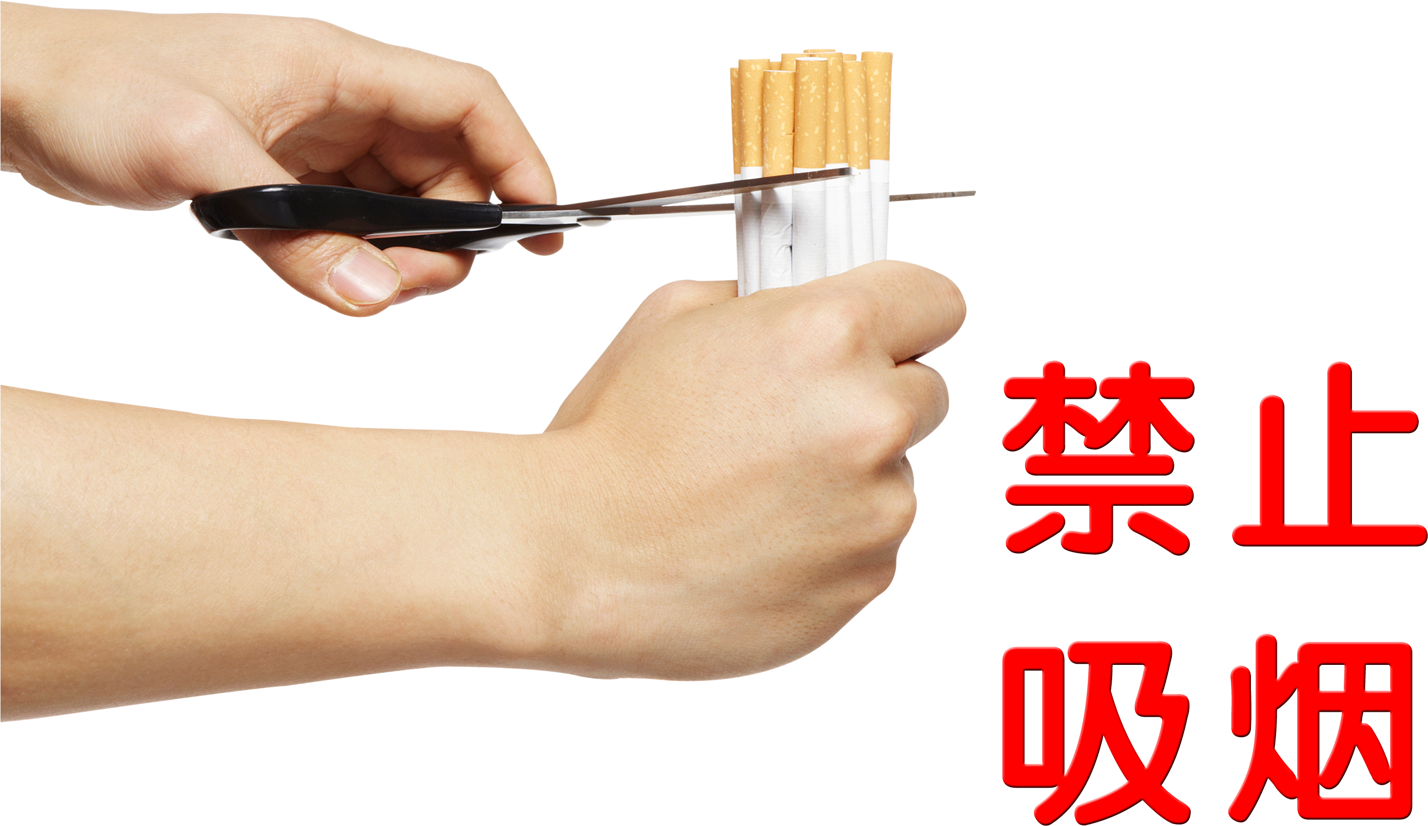 No Smoking Cut Off Cigarette Art Design - 日本緑十字社 建災防統一安全標識 1枚 (2953x2437), Png Download