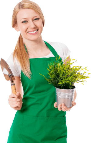 Community - Dębica (300x469), Png Download