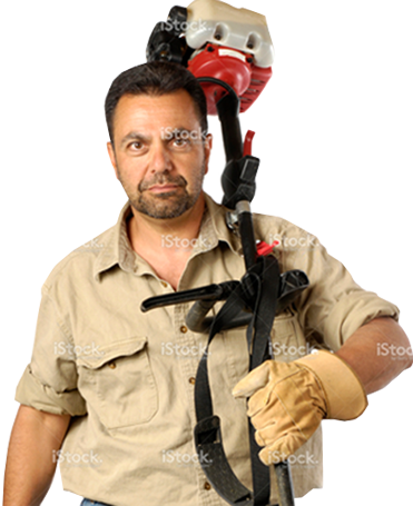 Meet The Team - Careers In Landscaping And Gardening (371x455), Png Download