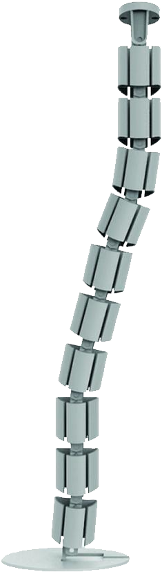 Spinal Cord Cable Management - Piccolo Clarinet (1600x1600), Png Download