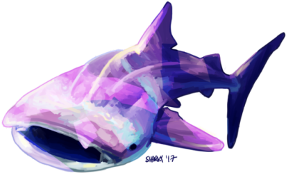 “messy Shark ” - Dolphin (500x359), Png Download
