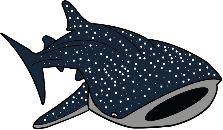 Nemo Clipart Whale Shark - Whale Shark Cartoon Png (806x459), Png Download