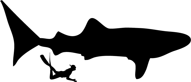 Swimming With Whale Sharks - Scuba Diver Silhouette (792x396), Png Download