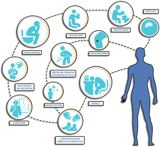 Diabetes Herbal Remedies - Color (640x624), Png Download