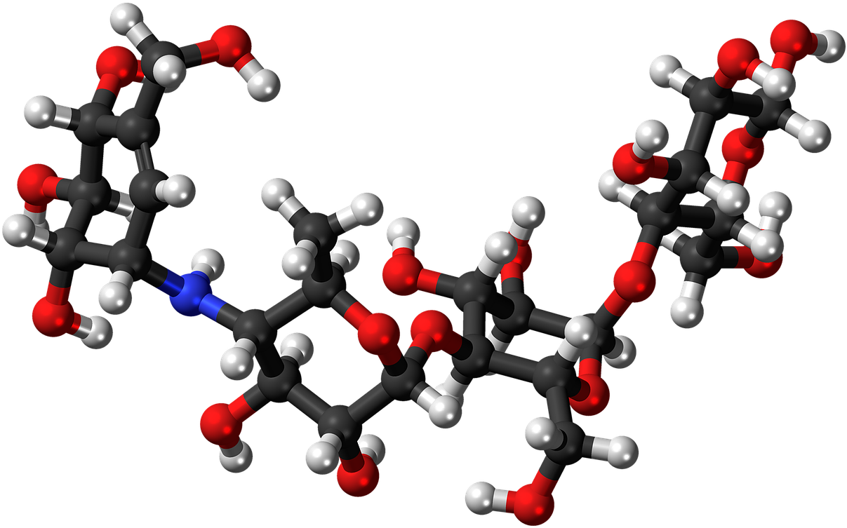 Stachyose Ball And Stick Structure (1280x824), Png Download