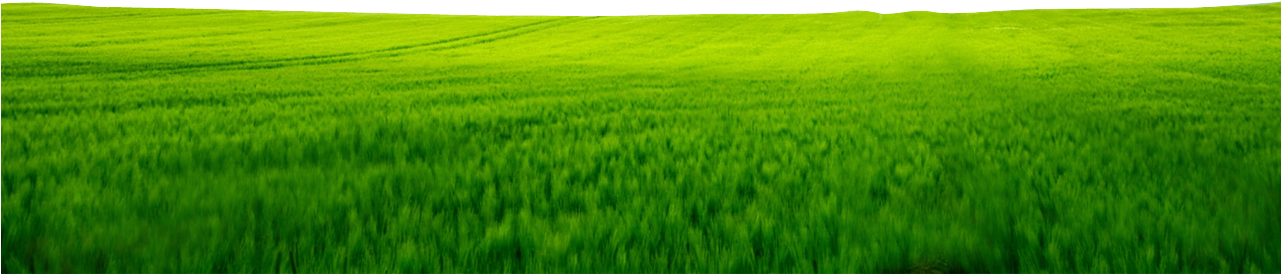 Green Land Images Png (1280x360), Png Download
