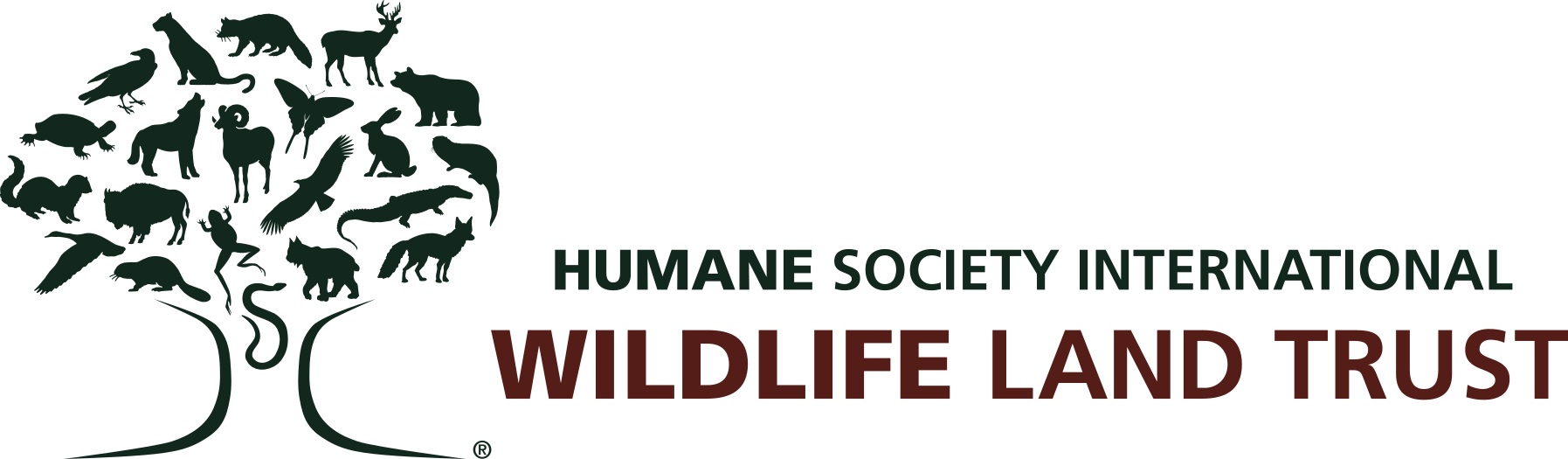 Wildlife Land Trust Logo - Humane Society International Logo (1795x525), Png Download