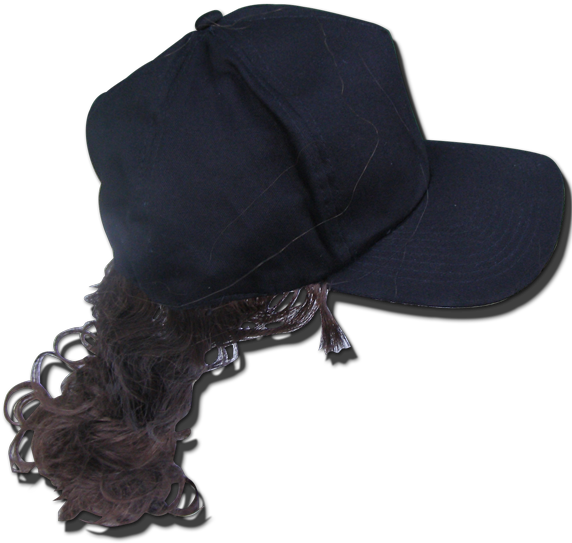 10067 Billy-ray Pony - Hair Png Pony Tail (600x660), Png Download