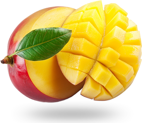 Fruta Manga Png (485x420), Png Download