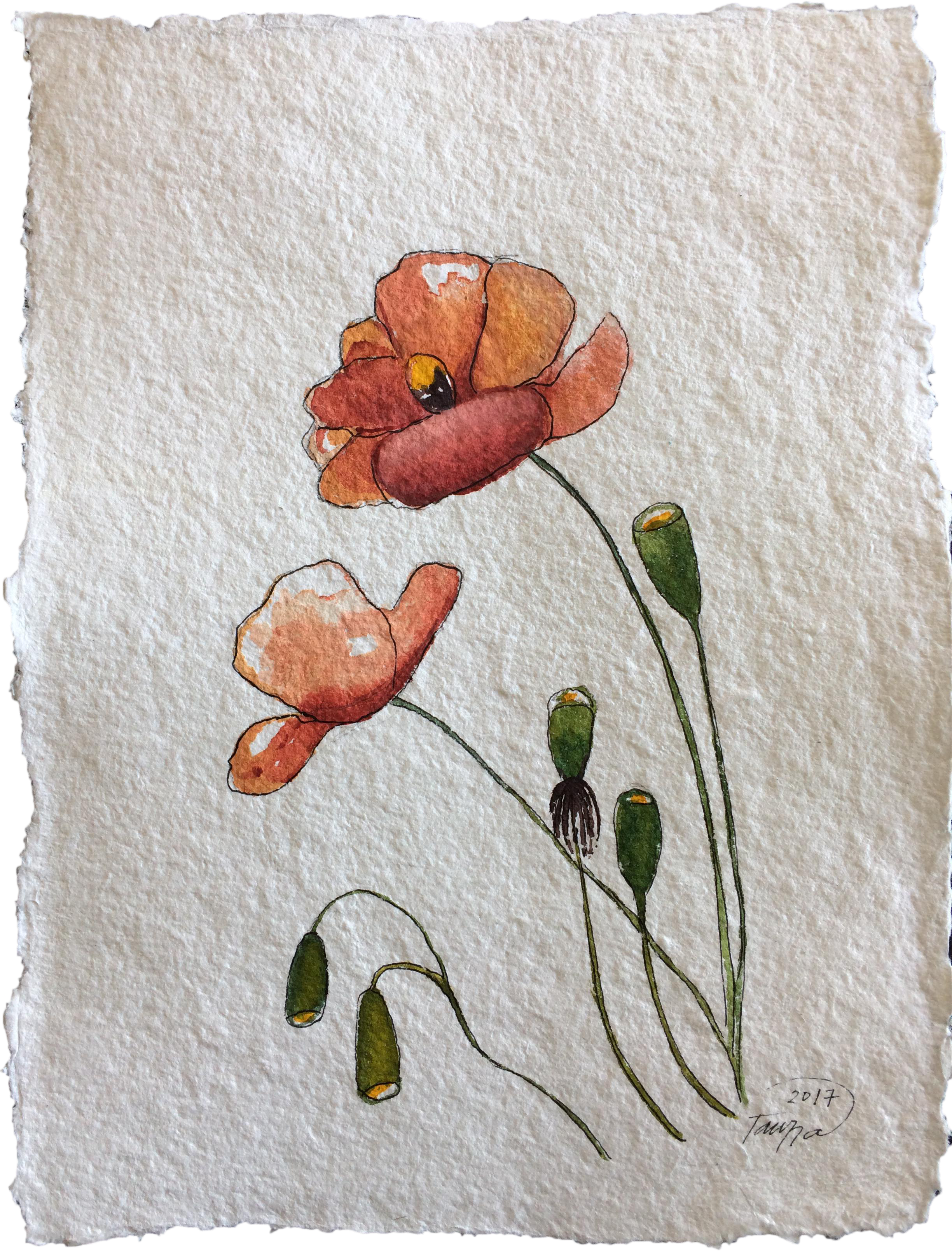 "poppies" Original Watercolor Painting On Chairish (2720x3576), Png Download