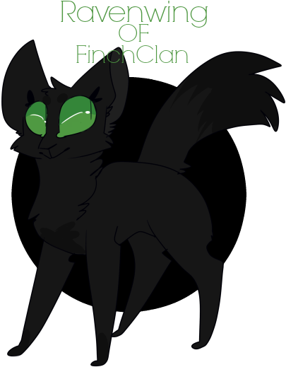 Aw Or Gay - Asian (500x533), Png Download