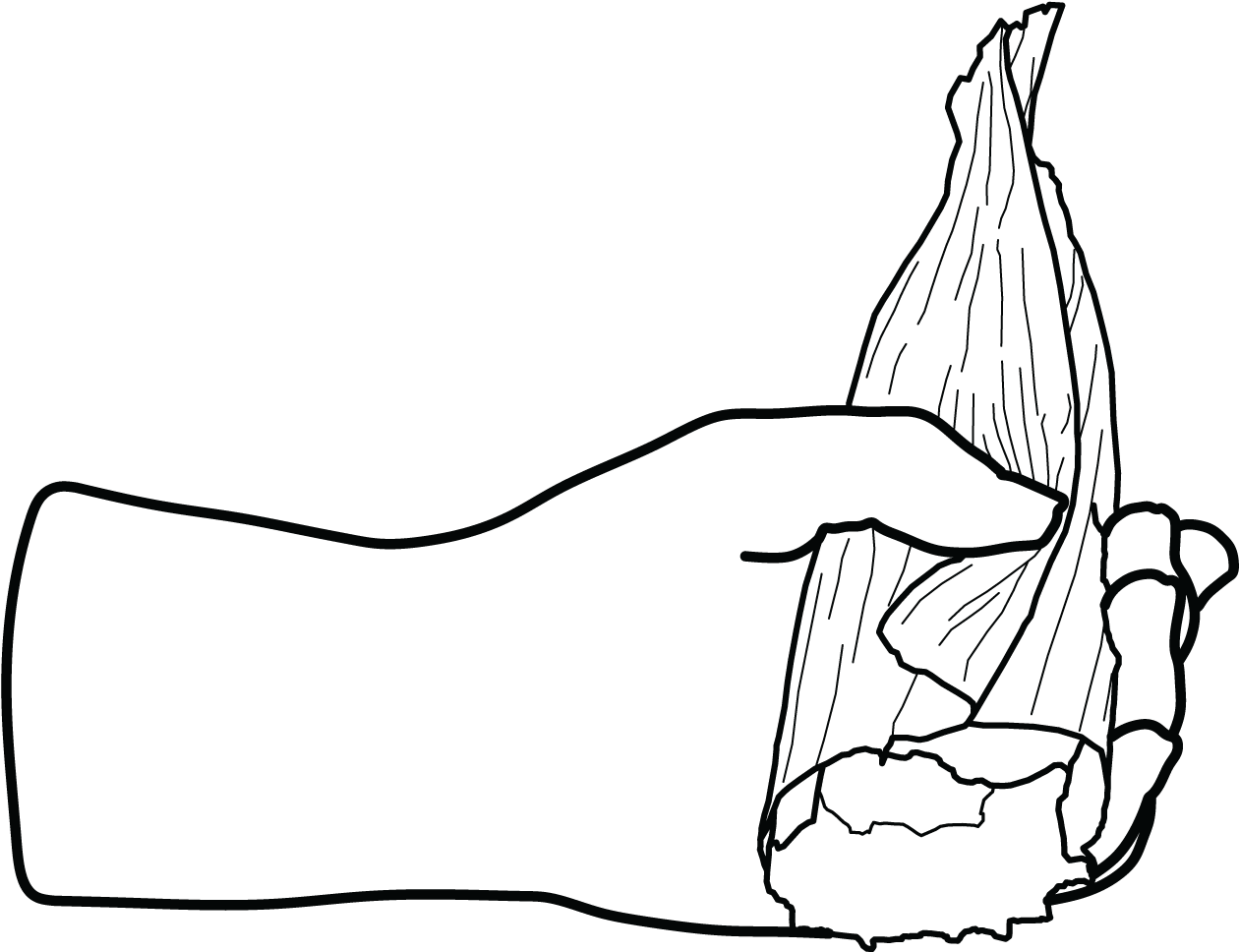 007 5 Tamales - Line Art (2794x2833), Png Download